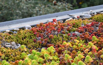 the cost of North Tamerton green roof installation
