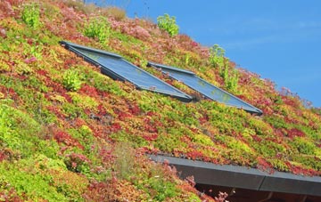 North Tamerton living roof systems